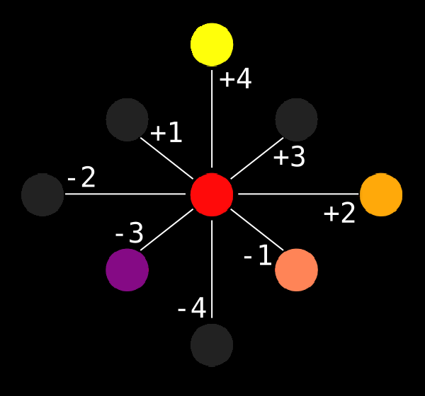 Geometrical rule in Netytar